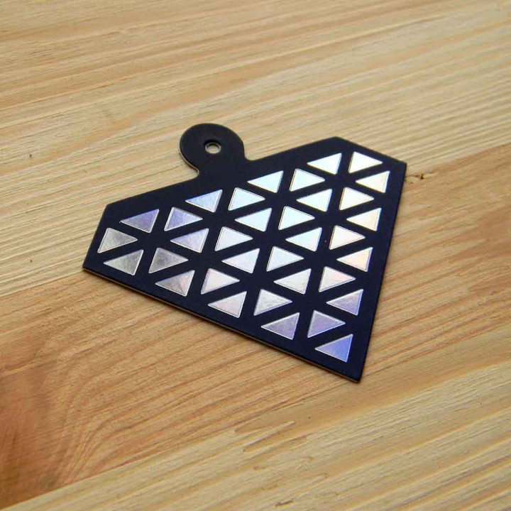 Cardboard tag holographic